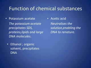 Function of chemical substances
• Potassium acetate
The potassium acetate
precipitates SDS,
proteins,lipids and large
DNA molecules.
• Acetic acid
Neutralises the
solution,enabling the
DNA to renature.
• Ethanol ; organic
solvent, precipitates
DNA
 