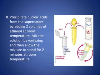 8. Precipitate nucleic acids
from the supernatant
by adding 2 volumes of
ethanol at room
temperature. Mix the
solution by vortexing
and then allow the
mixture to stand for 2
minutes at room
temperature.
 