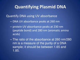 Quantifying Plasmid DNA
Quantify DNA using UV absorbance
– DNA UV absorbance peaks at 260 nm
– protein UV absorbance peaks at 230 nm
(peptide bond) and 280 nm (aromatic amino
acids)
– The ratio of the absorbance at 260 nm/280
nm is a measure of the purity of a DNA
sample; it should be between 1.65 and
1.85.
 