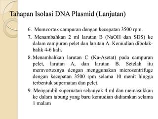 Tahapan Isolasi DNA Plasmid (Lanjutan)
6. Memvortex campuran dengan kecepatan 3500 rpm.
7. Menambahkan 2 ml larutan B (NaOH dan SDS) ke
dalam campuran pelet dan larutan A. Kemudian dibolak-
balik 4-6 kali.
8. Menambahkan larutan C (Ka-Asetat) pada campuran
pelet, larutan A, dan larutan B. Setelah itu
memvortexnya dengan menggunakan microsentrifuge
dengan kecepatan 3500 rpm selama 10 menit hingga
terbentuk supernatan dan pelet.
9. Mengambil supernatan sebanyak 4 ml dan memasukkan
ke dalam tabung yang baru kemudian didiamkan selama
1 malam
 