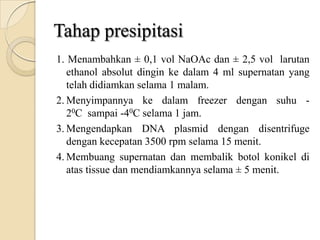 Tahap presipitasi
1. Menambahkan ± 0,1 vol NaOAc dan ± 2,5 vol larutan
ethanol absolut dingin ke dalam 4 ml supernatan yang
telah didiamkan selama 1 malam.
2. Menyimpannya ke dalam freezer dengan suhu -
20C sampai -40C selama 1 jam.
3. Mengendapkan DNA plasmid dengan disentrifuge
dengan kecepatan 3500 rpm selama 15 menit.
4. Membuang supernatan dan membalik botol konikel di
atas tissue dan mendiamkannya selama ± 5 menit.
 