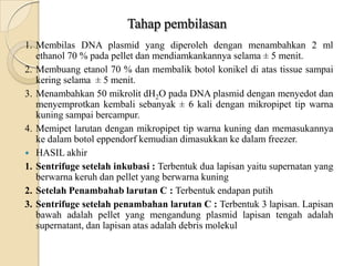 Tahap pembilasan
1. Membilas DNA plasmid yang diperoleh dengan menambahkan 2 ml
ethanol 70 % pada pellet dan mendiamkankannya selama ± 5 menit.
2. Membuang etanol 70 % dan membalik botol konikel di atas tissue sampai
kering selama ± 5 menit.
3. Menambahkan 50 mikrolit dH2O pada DNA plasmid dengan menyedot dan
menyemprotkan kembali sebanyak ± 6 kali dengan mikropipet tip warna
kuning sampai bercampur.
4. Memipet larutan dengan mikropipet tip warna kuning dan memasukannya
ke dalam botol eppendorf kemudian dimasukkan ke dalam freezer.
 HASIL akhir
1. Sentrifuge setelah inkubasi : Terbentuk dua lapisan yaitu supernatan yang
berwarna keruh dan pellet yang berwarna kuning
2. Setelah Penambahab larutan C : Terbentuk endapan putih
3. Sentrifuge setelah penambahan larutan C : Terbentuk 3 lapisan. Lapisan
bawah adalah pellet yang mengandung plasmid lapisan tengah adalah
supernatant, dan lapisan atas adalah debris molekul
 