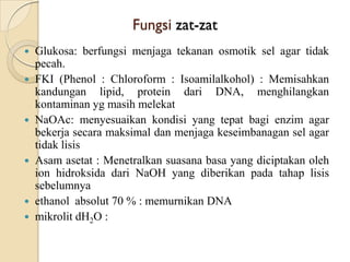 Fungsi zat-zat
 Glukosa: berfungsi menjaga tekanan osmotik sel agar tidak
pecah.
 FKI (Phenol : Chloroform : Isoamilalkohol) : Memisahkan
kandungan lipid, protein dari DNA, menghilangkan
kontaminan yg masih melekat
 NaOAc: menyesuaikan kondisi yang tepat bagi enzim agar
bekerja secara maksimal dan menjaga keseimbanagan sel agar
tidak lisis
 Asam asetat : Menetralkan suasana basa yang diciptakan oleh
ion hidroksida dari NaOH yang diberikan pada tahap lisis
sebelumnya
 ethanol absolut 70 % : memurnikan DNA
 mikrolit dH2O :
 