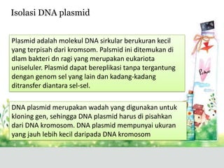 Plasmid adalah molekul DNA sirkular berukuran kecil
yang terpisah dari kromsom. Palsmid ini ditemukan di
dlam bakteri dn ragi yang merupakan eukariota
uniseluler. Plasmid dapat bereplikasi tanpa tergantung
dengan genom sel yang lain dan kadang-kadang
ditransfer diantara sel-sel.
DNA plasmid merupakan wadah yang digunakan untuk
kloning gen, sehingga DNA plasmid harus di pisahkan
dari DNA kromosom. DNA plasmid mempunyai ukuran
yang jauh lebih kecil daripada DNA kromosom
Isolasi DNA plasmid
 