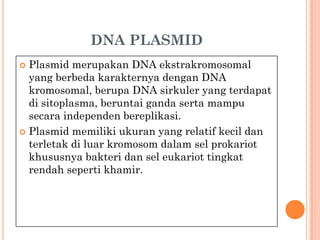 DNA PLASMID
 Plasmid merupakan DNA ekstrakromosomal
yang berbeda karakternya dengan DNA
kromosomal, berupa DNA sirkuler yang terdapat
di sitoplasma, beruntai ganda serta mampu
secara independen bereplikasi.
 Plasmid memiliki ukuran yang relatif kecil dan
terletak di luar kromosom dalam sel prokariot
khususnya bakteri dan sel eukariot tingkat
rendah seperti khamir.
 