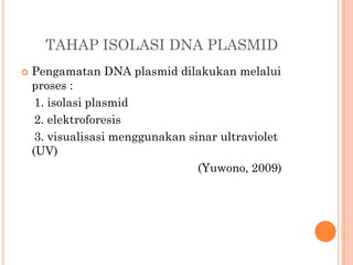 TAHAP ISOLASI DNA PLASMID
 Pengamatan DNA plasmid dilakukan melalui
proses :
1. isolasi plasmid
2. elektroforesis
3. visualisasi menggunakan sinar ultraviolet
(UV)
(Yuwono, 2009)
 