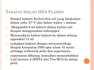 TAHAPAN ISOLASI DNA PLASMID
1. Sampel bakteri Escherichia coli yang diinkubasi
dalam suhu 370 C dan dalam waktu 1 malam.
2. Mengambil 8 ml bakteri dalam kultur cair
dengan menggunakan mikropipet.
3. Memasukkan kultur bakteri ke dalam tabung
eppendorf 15 ml
4. endapkan bakteri dengan microsentrifuge
dengan kecepatan 3500 rpm selam 10 menit
sehingga terbentuk pelet dan supernatan.
5. supernatan dibuang, kemudian menambahkan
2 ml larutan A (EDTA dan Tris-HCl) ke dalam
pelet.
 