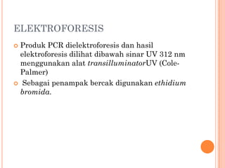 ELEKTROFORESIS
 Produk PCR dielektroforesis dan hasil
elektroforesis dilihat dibawah sinar UV 312 nm
menggunakan alat transilluminatorUV (Cole-
Palmer)
 Sebagai penampak bercak digunakan ethidium
bromida.
 