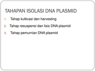 TAHAPAN ISOLASI DNA PLASMID
1. Tahap kultivasi dan harvesting
2. Tahap resuspensi dan lisis DNA plasmid
3. Tahap pemurnian DNA plasmid
 