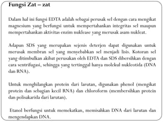 Fungsi Zat – zat
Dalam hal ini fungsi EDTA adalah sebagai perusak sel dengan cara mengikat
magnesium yang berfungsi untuk mempertahankan integritas sel maupun
mempertahankan aktivitas enzim nuklease yang merusak asam nukleat.
Adapun SDS yang merupakan sejenis deterjen dapat digunakan untuk
merusak membran sel yang menyebabkan sel menjadi lisis. Kotoran sel
yang ditimbulkan akibat perusakan oleh EDTA dan SDS dibersihkan dengan
cara sentrifugasi, sehingga yang tertinggal hanya molekul nukleotida (DNA
dan RNA).
Untuk menghilangkan protein dari larutan, digunakan phenol (mengikat
protein dan sebagian kecil RNA) dan chloroform (membersihkan protein
dan polisakarida dari larutan).
Etanol berfungsi untuk memekatkan, memisahkan DNA dari larutan dan
mengendapkan DNA.
 