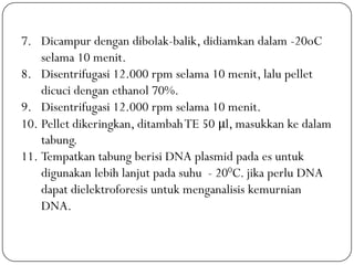 7. Dicampur dengan dibolak-balik, didiamkan dalam -20oC
selama 10 menit.
8. Disentrifugasi 12.000 rpm selama 10 menit, lalu pellet
dicuci dengan ethanol 70%.
9. Disentrifugasi 12.000 rpm selama 10 menit.
10. Pellet dikeringkan, ditambahTE 50 μl, masukkan ke dalam
tabung.
11. Tempatkan tabung berisi DNA plasmid pada es untuk
digunakan lebih lanjut pada suhu - 200C. jika perlu DNA
dapat dielektroforesis untuk menganalisis kemurnian
DNA.
 