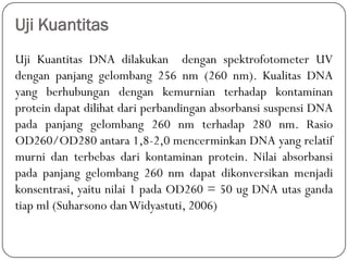 Uji Kuantitas
Uji Kuantitas DNA dilakukan dengan spektrofotometer UV
dengan panjang gelombang 256 nm (260 nm). Kualitas DNA
yang berhubungan dengan kemurnian terhadap kontaminan
protein dapat dilihat dari perbandingan absorbansi suspensi DNA
pada panjang gelombang 260 nm terhadap 280 nm. Rasio
OD260/OD280 antara 1,8-2,0 mencerminkan DNA yang relatif
murni dan terbebas dari kontaminan protein. Nilai absorbansi
pada panjang gelombang 260 nm dapat dikonversikan menjadi
konsentrasi, yaitu nilai 1 pada OD260 = 50 ug DNA utas ganda
tiap ml (Suharsono danWidyastuti, 2006)
 