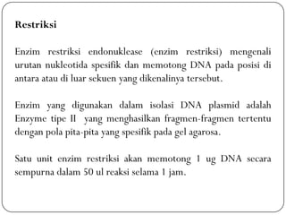 Restriksi
Enzim restriksi endonuklease (enzim restriksi) mengenali
urutan nukleotida spesifik dan memotong DNA pada posisi di
antara atau di luar sekuen yang dikenalinya tersebut.
Enzim yang digunakan dalam isolasi DNA plasmid adalah
Enzyme tipe II yang menghasilkan fragmen-fragmen tertentu
dengan pola pita-pita yang spesifik pada gel agarosa.
Satu unit enzim restriksi akan memotong 1 ug DNA secara
sempurna dalam 50 ul reaksi selama 1 jam.
 