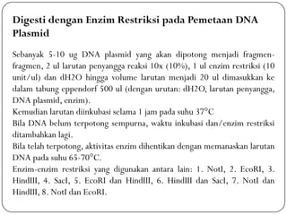 Digesti dengan Enzim Restriksi pada Pemetaan DNA
Plasmid
Sebanyak 5-10 ug DNA plasmid yang akan dipotong menjadi fragmen-
fragmen, 2 ul larutan penyangga reaksi 10x (10%), 1 ul enzim restriksi (10
unit/ul) dan dH2O hingga volume larutan menjadi 20 ul dimasukkan ke
dalam tabung eppendorf 500 ul (dengan urutan: dH2O, larutan penyangga,
DNA plasmid, enzim).
Kemudian larutan diinkubasi selama 1 jam pada suhu 37°C
Bila DNA belum terpotong sempurna, waktu inkubasi dan/enzim restriksi
ditambahkan lagi.
Bila telah terpotong, aktivitas enzim dihentikan dengan memanaskan larutan
DNA pada suhu 65-70°C.
Enzim-enzim restriksi yang digunakan antara lain: 1. NotI, 2. EcoRI, 3.
HindIII, 4. SacI, 5. EcoRI dan HindIII, 6. HindIII dan SacI, 7. NotI dan
HindIII, 8. NotI dan EcoRI.
 
