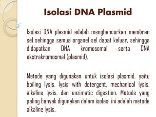 Isolasi DNA Plasmid
Isolasi DNA plasmid adalah menghancurkan membran
sel sehingga semua organel sel dapat keluar, sehingga
didapatkan DNA kromosomal serta DNA
ekstrakromosmal (plasmid).
Metode yang digunakan untuk isolasi plasmid, yaitu
boiling lysis, lysis with detergent, mechanical lysis,
alkaline lysis, dan enzimatic digestion. Metode yang
paling banyak digunakan dalam isolasi ini adalah metode
alkaline lysis.
 