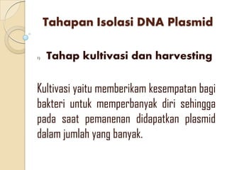 Tahapan Isolasi DNA Plasmid
1) Tahap kultivasi dan harvesting
Kultivasi yaitu memberikam kesempatan bagi
bakteri untuk memperbanyak diri sehingga
pada saat pemanenan didapatkan plasmid
dalam jumlah yang banyak.
 