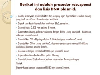 Berikut ini adalah prosedur resuspensi
dan lisis DNA plasmid:
 Diambil sebanyak 1-2 koloni bakteri dari lempeng agar, dipindahkan ke dalam tabung
yang telah berisi 5 ml LB-medium dan antibiotik.
 Digojok kuat-kuat dalam shaker incubator 37oC, semalam.
 Disentrifugasi 12.000 rpm selama 10 menit.
 Supernatan dibuang, pelet diresuspensi dengan 100 ml Lysing solution 1, didiamkan
dalam es selama 5 menit.
 Ditambahkan 200 ml Lysing solution 2, diinkubasi pada es selama 5 menit.
 Ditambahkan 150 ml Lysing solution 3, dicampur dengan cara membolakbalikkan,
diinkubasi dalam es selama 5 menit.
 Disentrifus dengan kecepatan 12.000 rpm selama 10 menit.
 Supernatan diambil dalam filter, pellet dibuang.
 Ditambah phenol CIAA sebanyak volume supernatan, dicampur dengan
Vortek.
Disentrifugasi dengan kecepatan 12.000 rpm selama 5 menit.
 