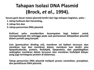 Tahapan Isolasi DNA Plasmid
(Brock, et al., 1994).
Secara garis besar isolasi plasmid terdiri dari tiga tahapan kegiatan, yaitu :
1. tahap kultivasi dan harvesting,
2. tahap lisis dan
3. tahap pemurnian DNA plasmid.
Kultivasi yaitu memberikan kesempatan bagi bakteri untuk
memperbanyak diri sehingga pada saat pemanenan didapatkan plasmid
dalam jumlah yang banyak.
Lisis (pemecahan dinding sel), membran sel bakteri tersusun atas
membran luar dan membran dalam, membran luar terdiri atas
lipopolisakarida, protein, fosfolipid, lipoprotein, dan peptidoglikan
sedangkan membran dalam tersusun atas membran fosfolipid bilayer
yang juga terintegrasi protein di dalamnya.
Tahap pemurnian DNA plasmid meliputi proses neutralizer, presipitasi,
dan pembilasan DNA plasmid.
 