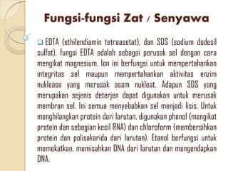 Fungsi-fungsi Zat / Senyawa
 EDTA (ethilendiamin tetraasetat), dan SDS (sodium dodesil
sulfat). fungsi EDTA adalah sebagai perusak sel dengan cara
mengikat magnesium. Ion ini berfungsi untuk mempertahankan
integritas sel maupun mempertahankan aktivitas enzim
nuklease yang merusak asam nukleat. Adapun SDS yang
merupakan sejenis deterjen dapat digunakan untuk merusak
membran sel. Ini semua menyebabkan sel menjadi lisis. Untuk
menghilangkan protein dari larutan, digunakan phenol (mengikat
protein dan sebagian kecil RNA) dan chloroform (membersihkan
protein dan polisakarida dari larutan). Etanol berfungsi untuk
memekatkan, memisahkan DNA dari larutan dan mengendapkan
DNA.
 