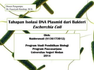 Tahapan Isolasi DNA Plasmid dari Bakteri
Escherchia Coli
Oleh:
Maiderawati (8136173012)
Program Studi Pendidikan Biologi
Program Pascasarjana
Universitas Negeri Medan
2014
Dosen Pengampu:
Dr. Fauziyah Harahap, M.Si
 
