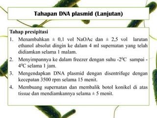Tahapan DNA plasmid (Lanjutan)
Tahap presipitasi
1. Menambahkan ± 0,1 vol NaOAc dan ± 2,5 vol larutan
ethanol absolut dingin ke dalam 4 ml supernatan yang telah
didiamkan selama 1 malam.
2. Menyimpannya ke dalam freezer dengan suhu -20C sampai -
40C selama 1 jam.
3. Mengendapkan DNA plasmid dengan disentrifuge dengan
kecepatan 3500 rpm selama 15 menit.
4. Membuang supernatan dan membalik botol konikel di atas
tissue dan mendiamkannya selama ± 5 menit.
 
