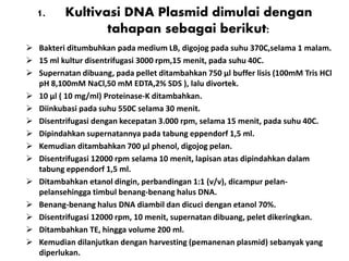 1. Kultivasi DNA Plasmid dimulai dengan
tahapan sebagai berikut:
 Bakteri ditumbuhkan pada medium LB, digojog pada suhu 370C,selama 1 malam.
 15 ml kultur disentrifugasi 3000 rpm,15 menit, pada suhu 40C.
 Supernatan dibuang, pada pellet ditambahkan 750 μl buffer lisis (100mM Tris HCl
pH 8,100mM NaCl,50 mM EDTA,2% SDS ), lalu divortek.
 10 μl ( 10 mg/ml) Proteinase-K ditambahkan.
 Diinkubasi pada suhu 550C selama 30 menit.
 Disentrifugasi dengan kecepatan 3.000 rpm, selama 15 menit, pada suhu 40C.
 Dipindahkan supernatannya pada tabung eppendorf 1,5 ml.
 Kemudian ditambahkan 700 μl phenol, digojog pelan.
 Disentrifugasi 12000 rpm selama 10 menit, lapisan atas dipindahkan dalam
tabung eppendorf 1,5 ml.
 Ditambahkan etanol dingin, perbandingan 1:1 (v/v), dicampur pelan-
pelansehingga timbul benang-benang halus DNA.
 Benang-benang halus DNA diambil dan dicuci dengan etanol 70%.
 Disentrifugasi 12000 rpm, 10 menit, supernatan dibuang, pelet dikeringkan.
 Ditambahkan TE, hingga volume 200 ml.
 Kemudian dilanjutkan dengan harvesting (pemanenan plasmid) sebanyak yang
diperlukan.
 