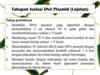 Tahapan Isolasi DNA Plasmid (Lnjutan)
Tahap pembilasan
1. Membilas DNA plasmid yang diperoleh dengan
menambahkan 2 ml ethanol 70 % pada pellet dan
mendiamkankannya selama ± 5 menit.
2. Membuang etanol 70 % dan membalik botol konikel di atas
tissue sampai kering selama ± 5 menit.
3. Menambahkan 50 mikrolit dH2O pada DNA plasmid dengan
menyedot dan menyemprotkan kembali sebanyak ± 6 kali
dengan mikropipet tip warna kuning sampai bercampur.
4. Memipet larutan dengan mikropipet tip warna kuning dan
memasukannya ke dalam botol eppendorf kemudian
dimasukkan ke dalam freezer.
 