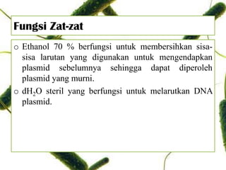 Fungsi Zat-zat
o Ethanol 70 % berfungsi untuk membersihkan sisa-
sisa larutan yang digunakan untuk mengendapkan
plasmid sebelumnya sehingga dapat diperoleh
plasmid yang murni.
o dH2O steril yang berfungsi untuk melarutkan DNA
plasmid.
 