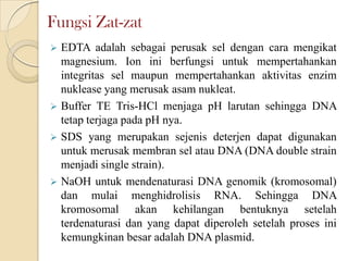 Fungsi Zat-zat
 EDTA adalah sebagai perusak sel dengan cara mengikat
magnesium. Ion ini berfungsi untuk mempertahankan
integritas sel maupun mempertahankan aktivitas enzim
nuklease yang merusak asam nukleat.
 Buffer TE Tris-HCl menjaga pH larutan sehingga DNA
tetap terjaga pada pH nya.
 SDS yang merupakan sejenis deterjen dapat digunakan
untuk merusak membran sel atau DNA (DNA double strain
menjadi single strain).
 NaOH untuk mendenaturasi DNA genomik (kromosomal)
dan mulai menghidrolisis RNA. Sehingga DNA
kromosomal akan kehilangan bentuknya setelah
terdenaturasi dan yang dapat diperoleh setelah proses ini
kemungkinan besar adalah DNA plasmid.
 