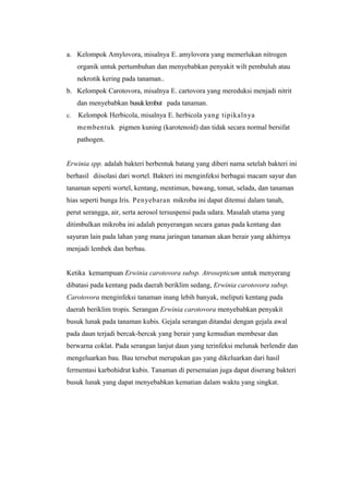 a. Kelompok Amylovora, misalnya E. amylovora yang memerlukan nitrogen
organik untuk pertumbuhan dan menyebabkan penyakit wilt pembuluh atau
nekrotik kering pada tanaman..
b. Kelompok Carotovora, misalnya E. cartovora yang mereduksi menjadi nitrit
dan menyebabkan busuklembut pada tanaman.
c. Kelompok Herbicola, misalnya E. herbicola yang tipikalnya
membentuk pigmen kuning (karotenoid) dan tidak secara normal bersifat
pathogen.
Erwinia spp. adalah bakteri berbentuk batang yang diberi nama setelah bakteri ini
berhasil diisolasi dari wortel. Bakteri ini menginfeksi berbagai macam sayur dan
tanaman seperti wortel, kentang, mentimun, bawang, tomat, selada, dan tanaman
hias seperti bunga Iris. Penyebaran mikroba ini dapat ditemui dalam tanah,
perut serangga, air, serta aerosol tersuspensi pada udara. Masalah utama yang
ditimbulkan mikroba ini adalah penyerangan secara ganas pada kentang dan
sayuran lain pada lahan yang mana jaringan tanaman akan berair yang akhirnya
menjadi lembek dan berbau.
Ketika kemampuan Erwinia carotovora subsp. Atrosepticum untuk menyerang
dibatasi pada kentang pada daerah beriklim sedang, Erwinia carotovora subsp.
Carotovora menginfeksi tanaman inang lebih banyak, meliputi kentang pada
daerah beriklim tropis. Serangan Erwinia carotovora menyebabkan penyakit
busuk lunak pada tanaman kubis. Gejala serangan ditandai dengan gejala awal
pada daun terjadi bercak-bercak yang berair yang kemudian membesar dan
berwarna coklat. Pada serangan lanjut daun yang terinfeksi melunak berlendir dan
mengeluarkan bau. Bau tersebut merupakan gas yang dikeluarkan dari hasil
fermentasi karbohidrat kubis. Tanaman di persemaian juga dapat diserang bakteri
busuk lunak yang dapat menyebabkan kematian dalam waktu yang singkat.
 