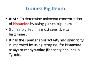 Guinea Pig Ileum
• AIM :- To determine unknown concentration
of histamine by using guinea pig ileum
• Guinea pig ileum is most sensitive to
histamine .
• It has the spontaneous activity and specificity
is improved by using atropine (for histamine
assay) or mepyramine (for acetylcholine) in
Tyrode.
 