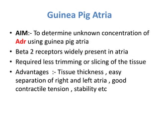 Guinea Pig Atria
• AIM:- To determine unknown concentration of
Adr using guinea pig atria
• Beta 2 receptors widely present in atria
• Required less trimming or slicing of the tissue
• Advantages :- Tissue thickness , easy
separation of right and left atria , good
contractile tension , stability etc
 