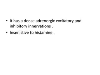 • It has a dense adrenergic excitatory and
inhibitory innervations .
• Insenistive to histamine .
 
