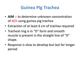 Guinea Pig Trachea
• AIM :- to determine unknown concentration
of ACh using guinea pig trachea
• Extraction of at least 6 cm of trachea required
• Tracheal ring is in “D” form and smooth
muscle is present in the straight line of “D”
shape.
• Response is slow to develop but last for longer
period
 