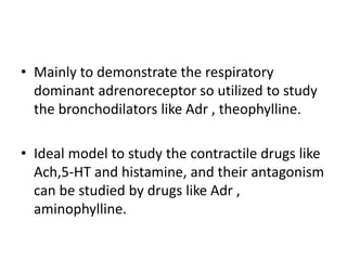 • Mainly to demonstrate the respiratory
dominant adrenoreceptor so utilized to study
the bronchodilators like Adr , theophylline.
• Ideal model to study the contractile drugs like
Ach,5-HT and histamine, and their antagonism
can be studied by drugs like Adr ,
aminophylline.
 