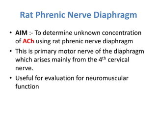 Rat Phrenic Nerve Diaphragm
• AIM :- To determine unknown concentration
of ACh using rat phrenic nerve diaphragm
• This is primary motor nerve of the diaphragm
which arises mainly from the 4th cervical
nerve.
• Useful for evaluation for neuromuscular
function
 