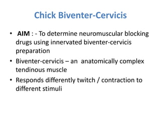 Chick Biventer-Cervicis
• AIM : - To determine neuromuscular blocking
drugs using innervated biventer-cervicis
preparation
• Biventer-cervicis – an anatomically complex
tendinous muscle
• Responds differently twitch / contraction to
different stimuli
 