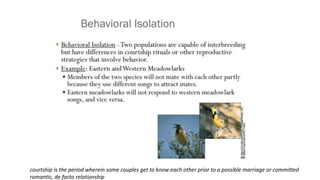 courtship is the period wherein some couples get to know each other prior to a possible marriage or committed
romantic, de facto relationship
 