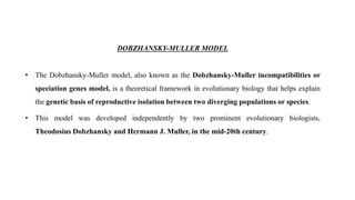 DOBZHANSKY-MULLER MODEL
• The Dobzhansky-Muller model, also known as the Dobzhansky-Muller incompatibilities or
speciation genes model, is a theoretical framework in evolutionary biology that helps explain
the genetic basis of reproductive isolation between two diverging populations or species.
• This model was developed independently by two prominent evolutionary biologists,
Theodosius Dobzhansky and Hermann J. Muller, in the mid-20th century.
 