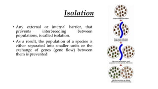 Isolation
• Any external or internal barrier, that
prevents interbreeding between
populations, is called isolation.
• As a result, the population of a species is
either separated into smaller units or the
exchange of genes (gene flow) between
them is prevented
 