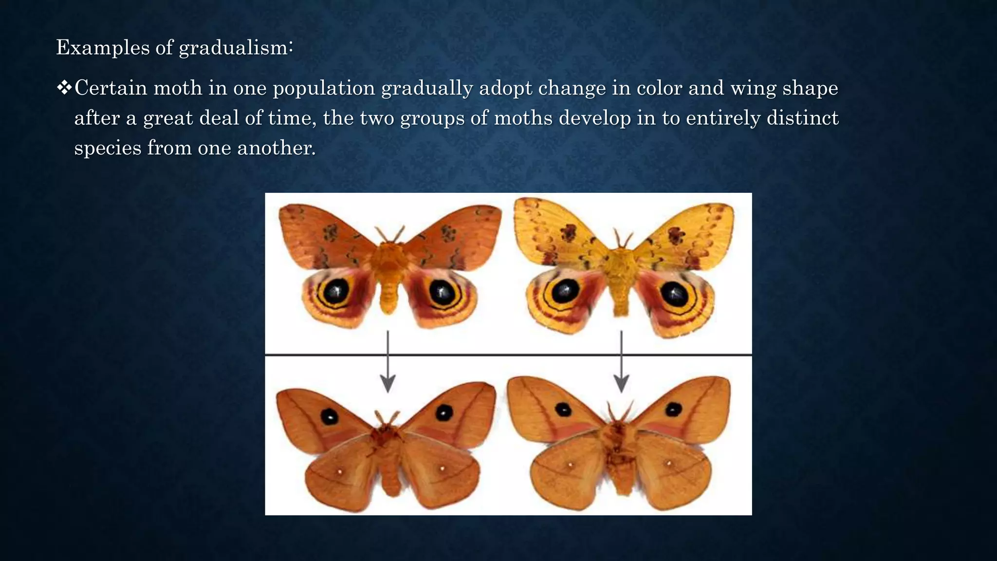 Isolating mechanism and speciation in time 1 | PPTX