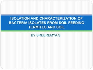 ISOLATION AND CHARACTERIZATION OF 
BACTERIA ISOLATES FROM SOIL FEEDING 
TERMITES AND SOIL 
BY SREEREMYA.S 
 
