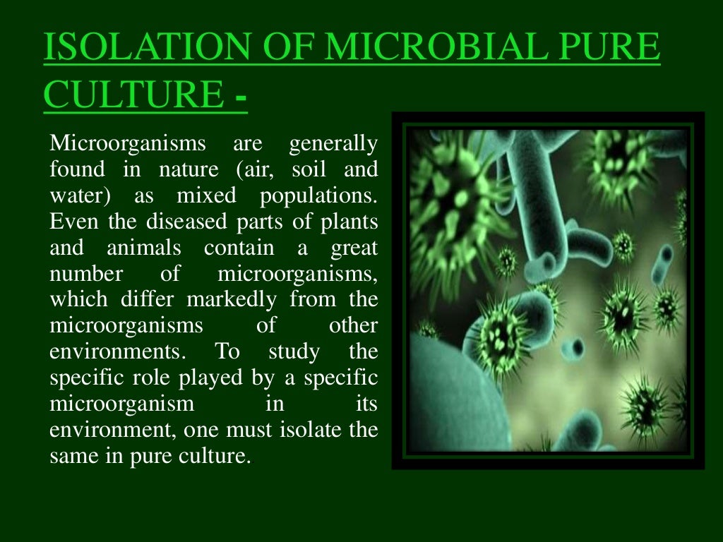 Isolation and characterization of microbes