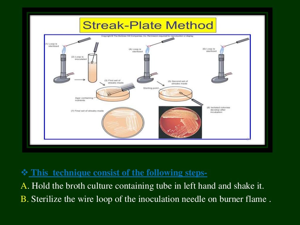 Isolation and characterization of microbes