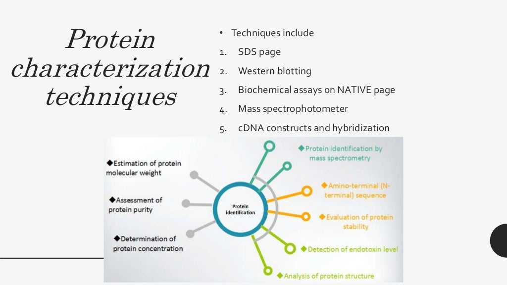 Isolation and characterization of novel protein