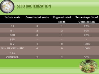 Isolation and characterization of plant growth promoting rhizobacteria ...