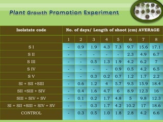 Isolation and characterization of plant growth promoting rhizobacteria ...