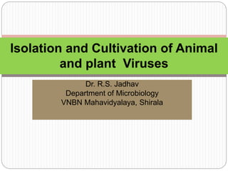 Dr. R.S. Jadhav
Department of Microbiology
VNBN Mahavidyalaya, Shirala
Isolation and Cultivation of Animal
and plant Viruses
 
