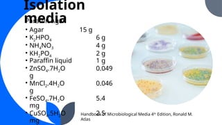 Isolation and Identification of Probiotic Streptomyces Bacteria from ...