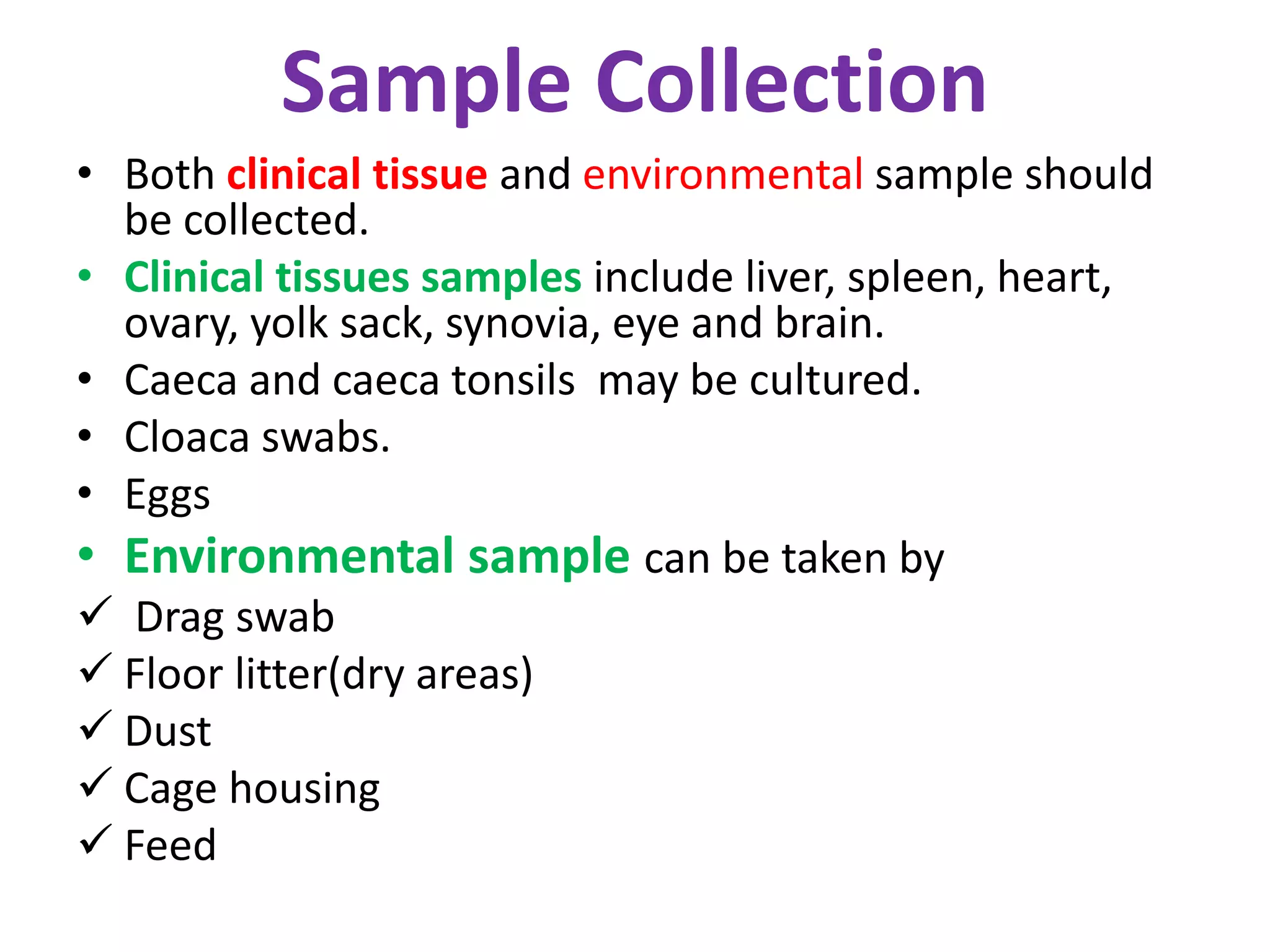 Isolation and identification of salmonella &e.coli